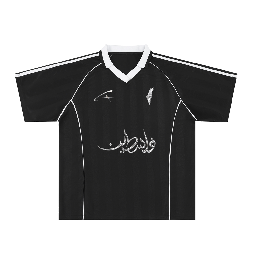 CV | We support Palestine | Mercury