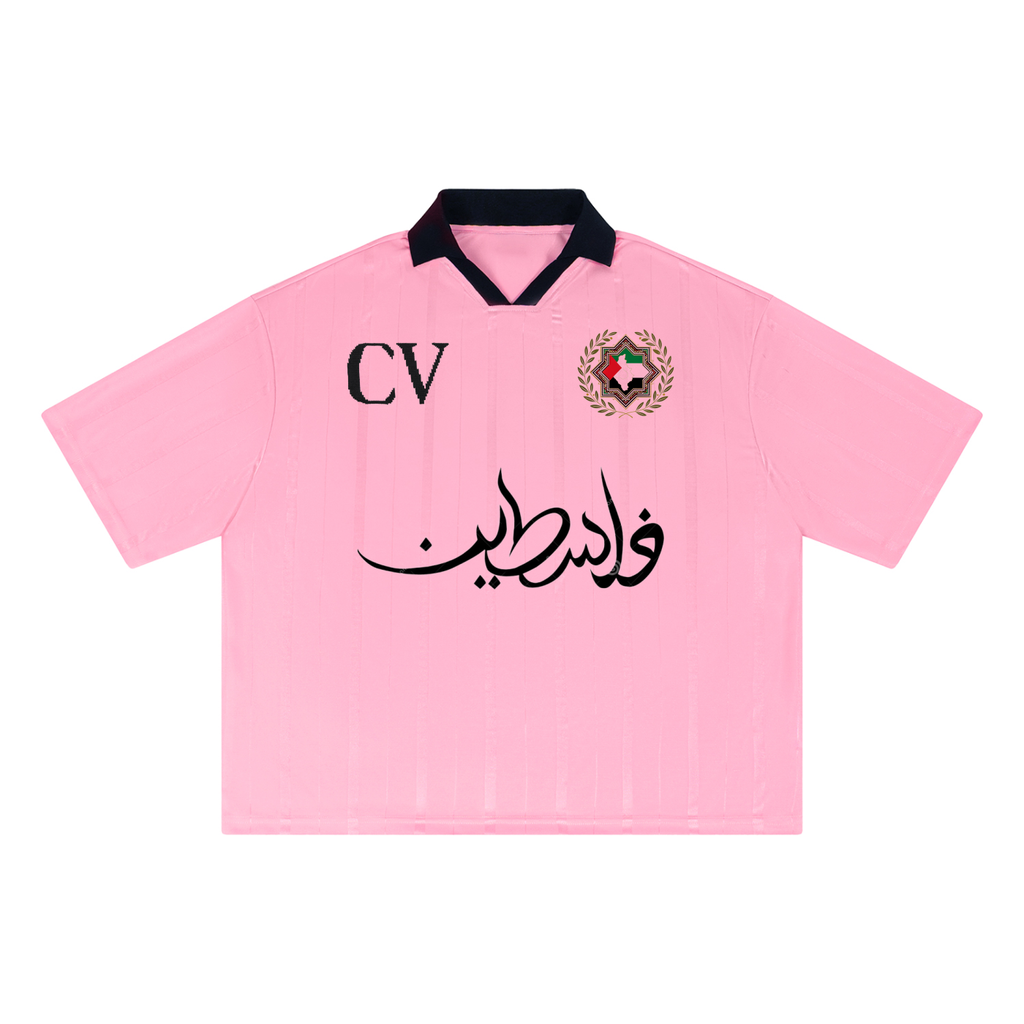 CV | We support Palestine | Pink