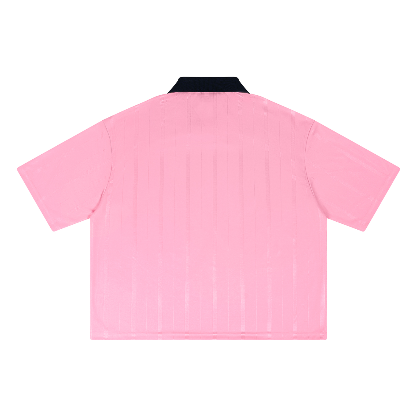 CV | We support Palestine | Pink